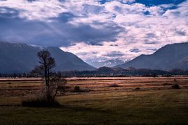 Landscape in the Murnauer Moos with a view of the Alps by ManfredFotos