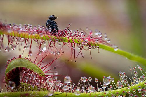 Eine Flucht ist nicht mehr möglich