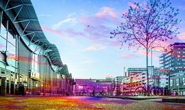 Cor Kieboomplein full collor by Tanja Otten Fotografie