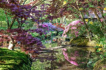 De Japanse Tuin van Landgoed Clingendael. van Jaap van den Berg