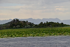 Vor dem Sturm auf dem Shkodër-See 3 von Erik Buitenhuis