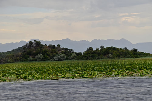 Before the storm on Lake Shkodër 3