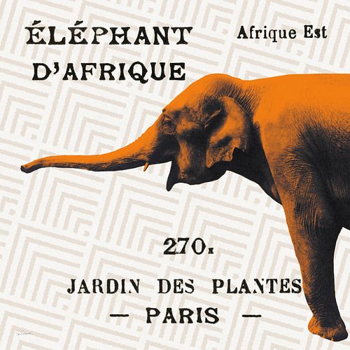 Heldere safariolifant op taupe, Sue Schlabach