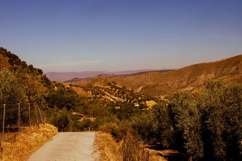 Bergwanderung in der Sierra Nevada bei Granada von Travel.san