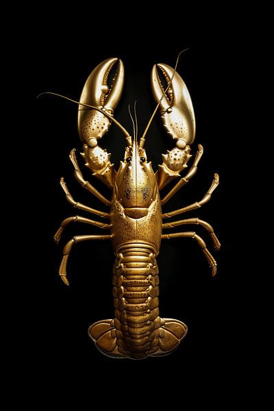 Homard doré par Richards Fine Art
