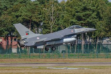 Falcon de combat portugais General Dynamics F-16AM. sur Jaap van den Berg