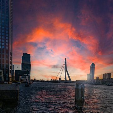 De Erasmusbrug in tegenlicht van Hans de Waay