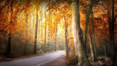 Can't Get Out Of This Mood