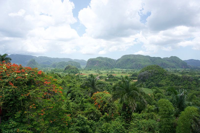 Ansichten in Viñales auf Kuba von Eline Willekens