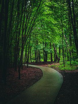 donker paadje van snippephotography