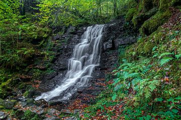 Schotland The Birks Of Aberfeldy watervallen van martin slagveld