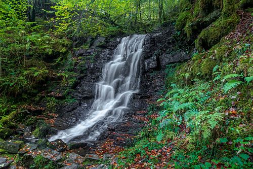 Schotland The Birks Of Aberfeldy watervallen