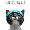 Cool Cat – No food left by Melanie Viola