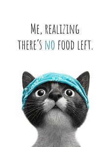 Cool Cat – No food left