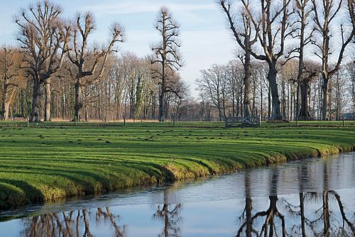 Landgoed Marquette spiegeling bomen