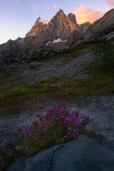 Lever de soleil dans le parc national des Écrins dans les Alpes françaises avec des fleurs violettes par Jos Pannekoek
