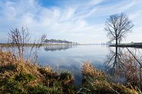 De Maas bij Cuijk