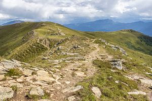 Wanderweg auf der Millstätter Alpe