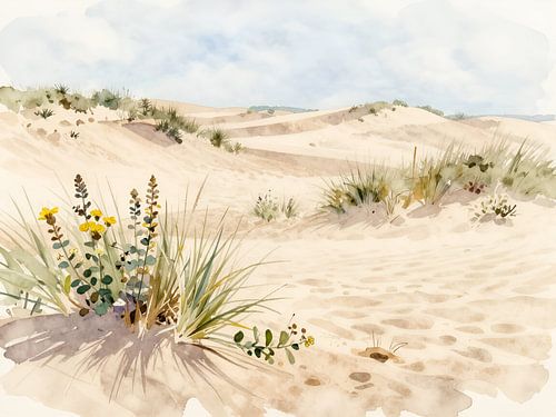 Sand dunes with wildflowers