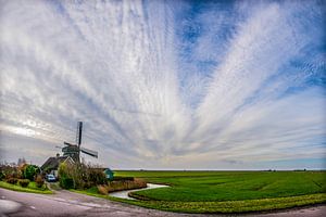 Noord Hollands landschap met molen  #2
