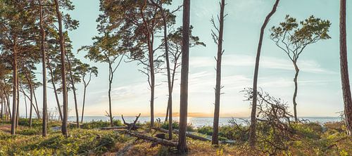 Evening at the west beach