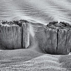 Deux postes en noir et blanc sur Heidi Bol