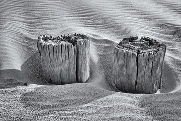 Deux postes en noir et blanc sur Heidi Bol