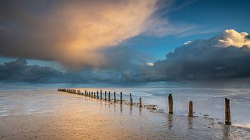 Palenrij op het Wad nabij Wierum van Martijn van Dellen