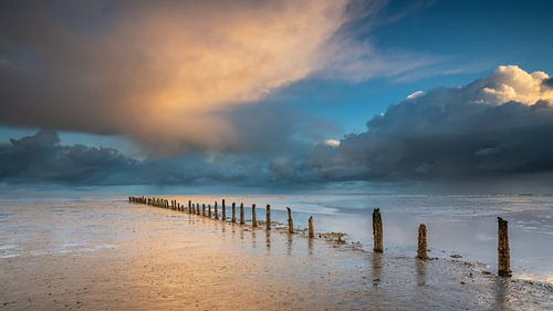 Palenrij op het Wad nabij Wierum