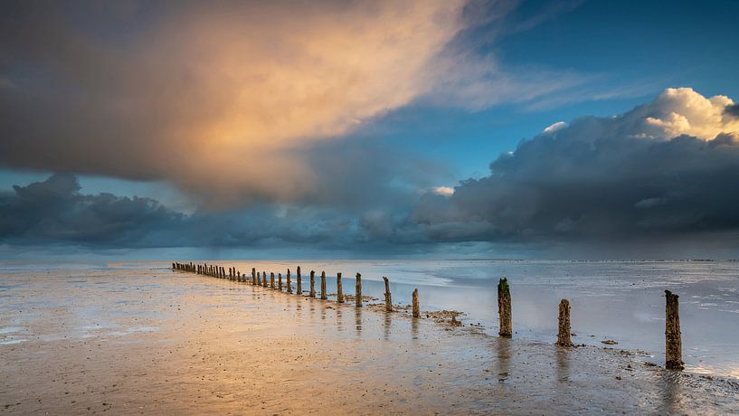 Palenrij op het Wad nabij Wierum van Martijn van Dellen