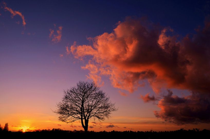 Kom bij me zitten op een roze wolk par Joyce Derksen