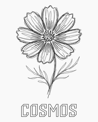 minimalistische poster met een kosmosbloem in lijntekening - zwarte editie