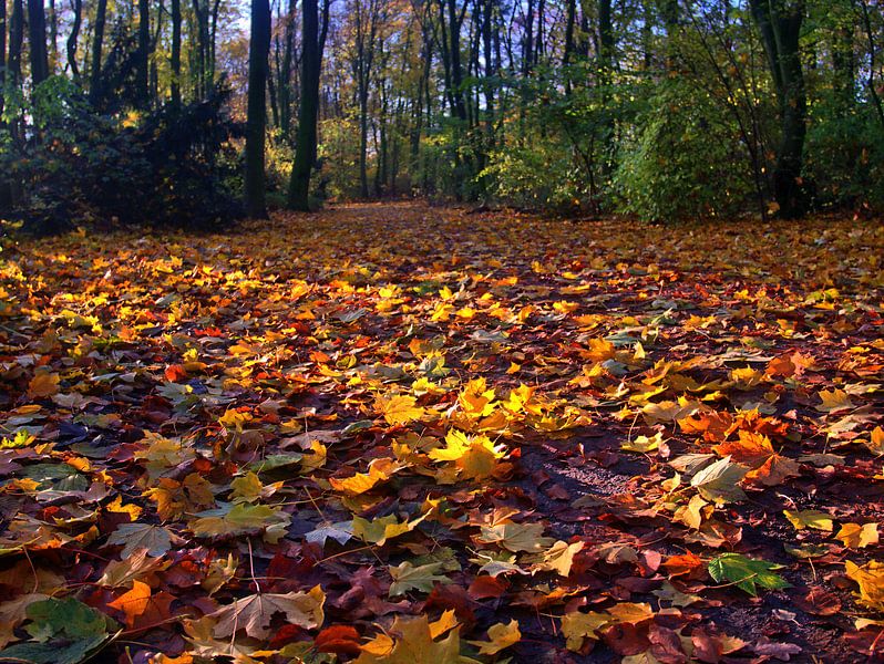 Loof 3 van Edgar Schermaul