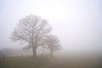 Landschap in de mist van Heiko Kueverling