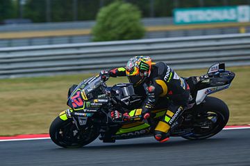 Marco Bezzecchi  Mooney VR46 Racing by Theo Groote