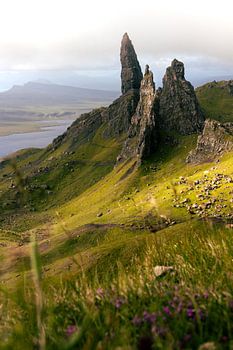 Der alte Mann von Storr auf der Isle of Skye