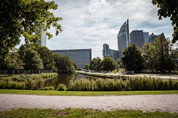 Koekamp and the Hague skyline by Amy's Stories