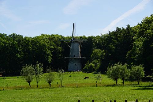 Mühle von Fotografie Suus & Zo