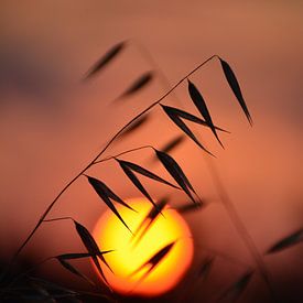 Orange red sunset in Sardinia by My Footprints