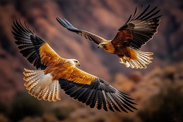 Majestic Eagles in Flight in a Natural Habitat by Beeld Creaties Ed Steenhoek | Photography and Artificial Images