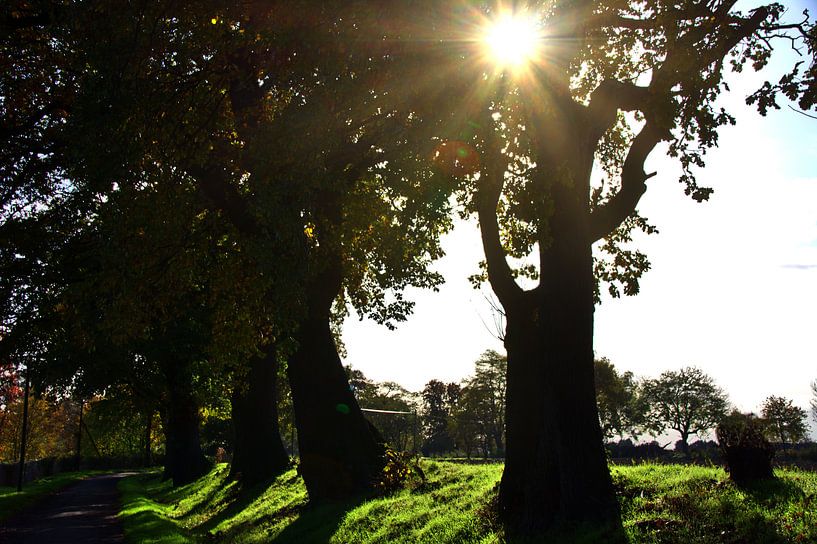 Limite 1 par Edgar Schermaul