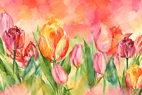 Blütenzauber mit Tulpen
