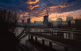 Kinderdijk von Jeroen Wormgoor
