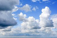 Magnificent sea air