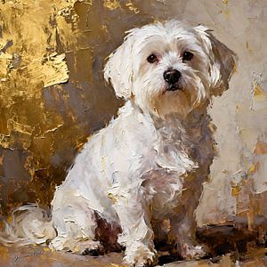 Malteserhund
