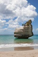 Te Hoho Rock in Cathedral Bay in New Zealand