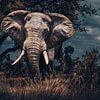 Afrikanischer Elefant von Fotojeanique .