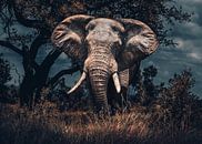 Afrikaanse olifant van Fotojeanique . thumbnail