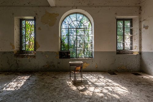 The sun in the house