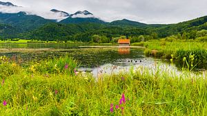 Kochelsee, Bayern, Deutschland